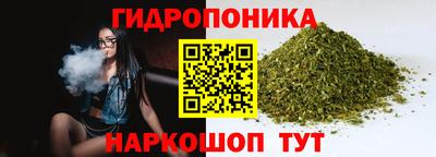 ALPHA PVP Кандалакша