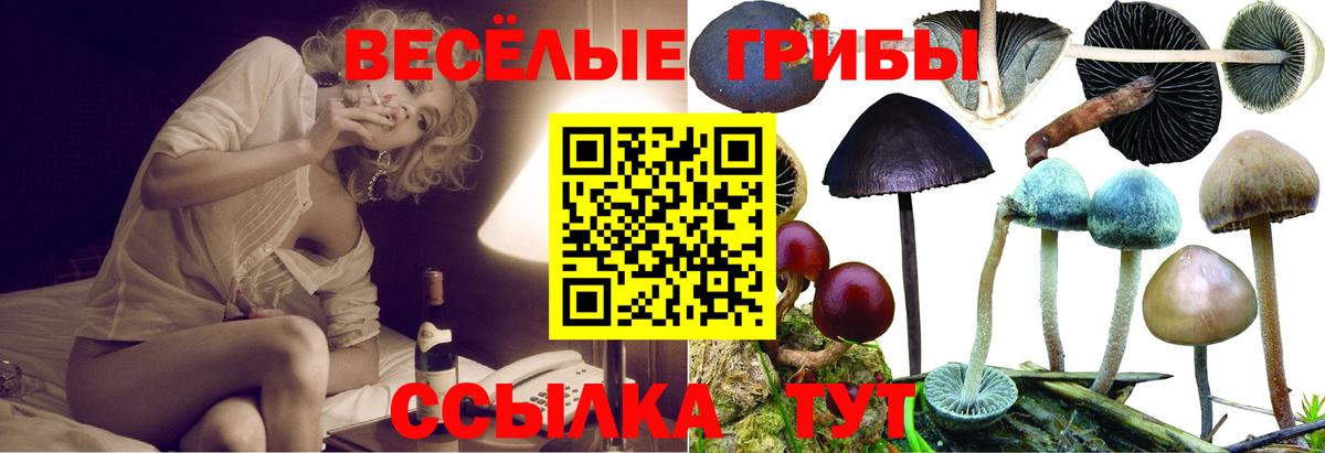 Галлюциногенные грибы MAGIC MUSHROOMS  Псилоцибиновые грибы Magic Shrooms  Янаул  Вход с VPN 